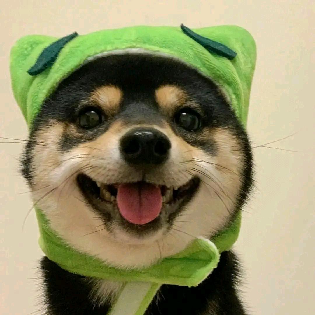 阿泽短剧