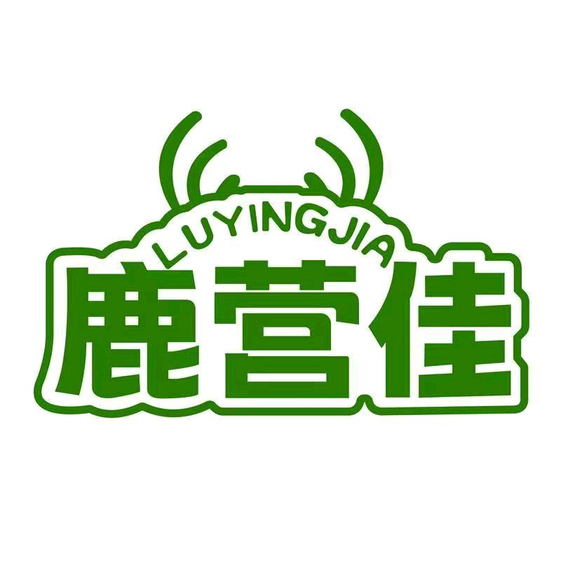 鹿营佳户外直播间