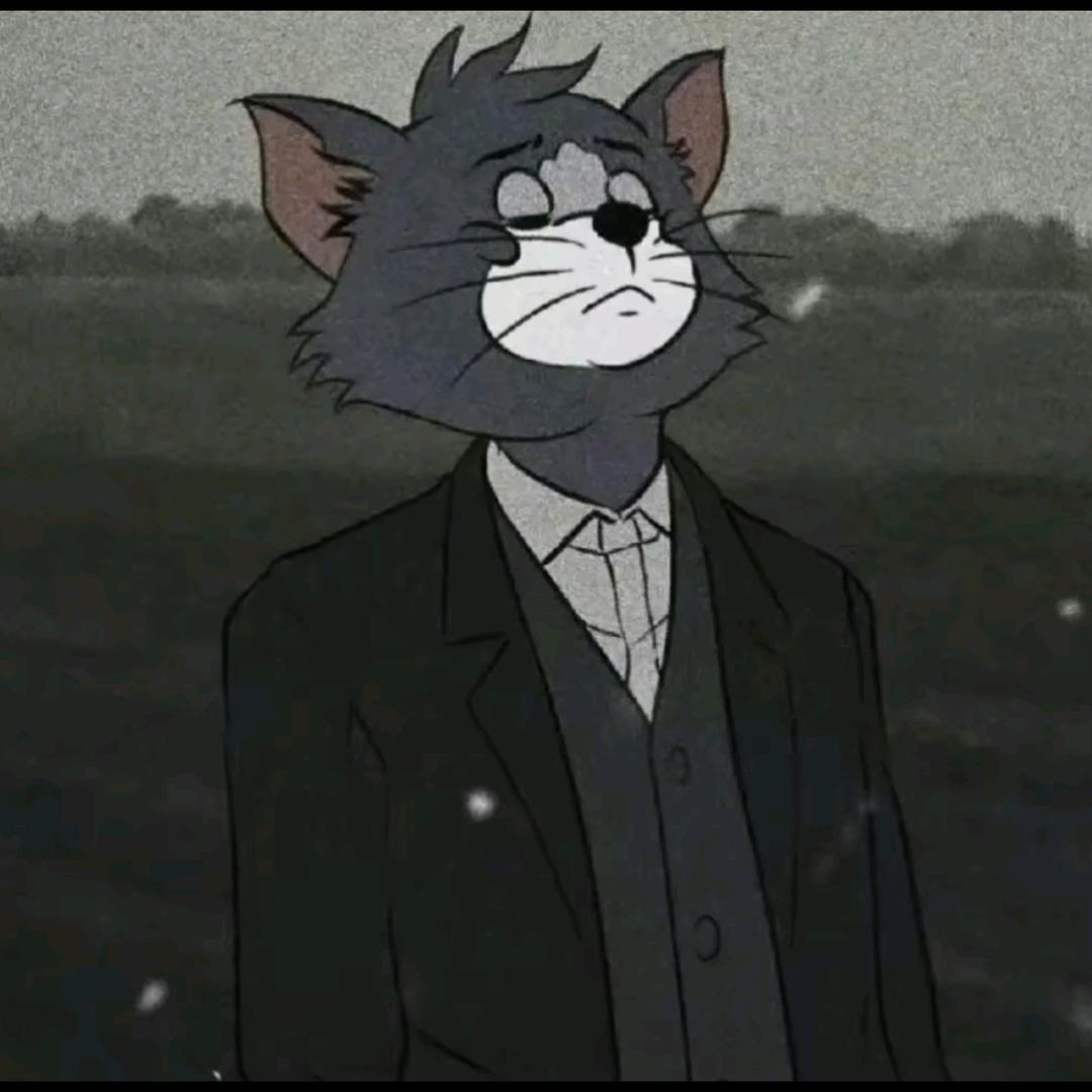 满山的猴子，我腚最红