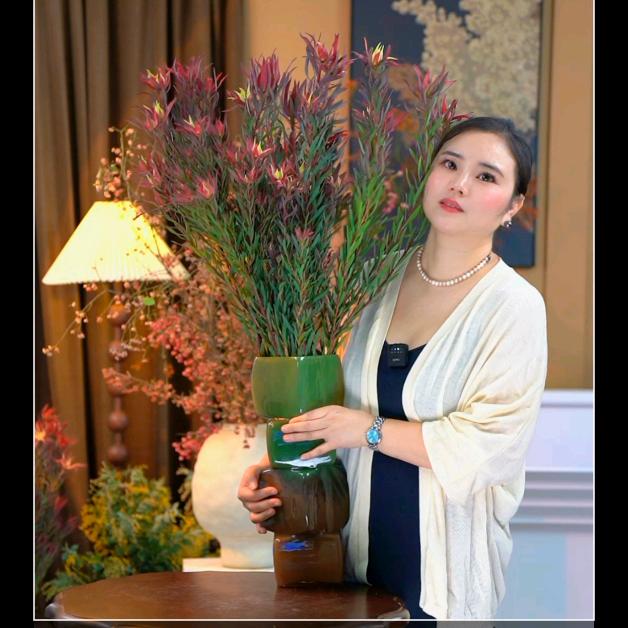 糖糖的美丽花园