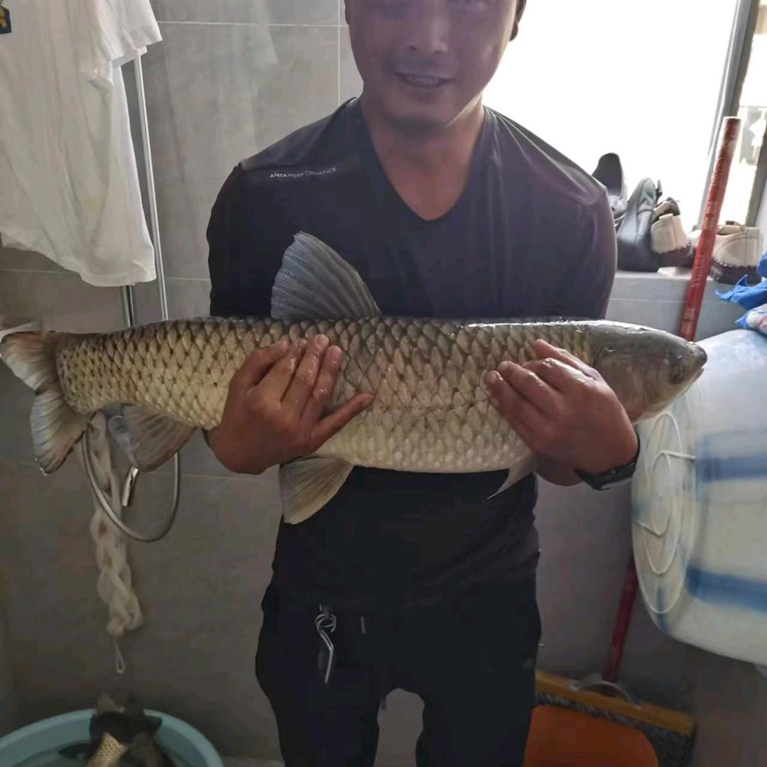 在下“漂不动”阁下是？