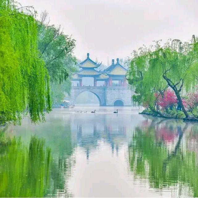 老孙在此