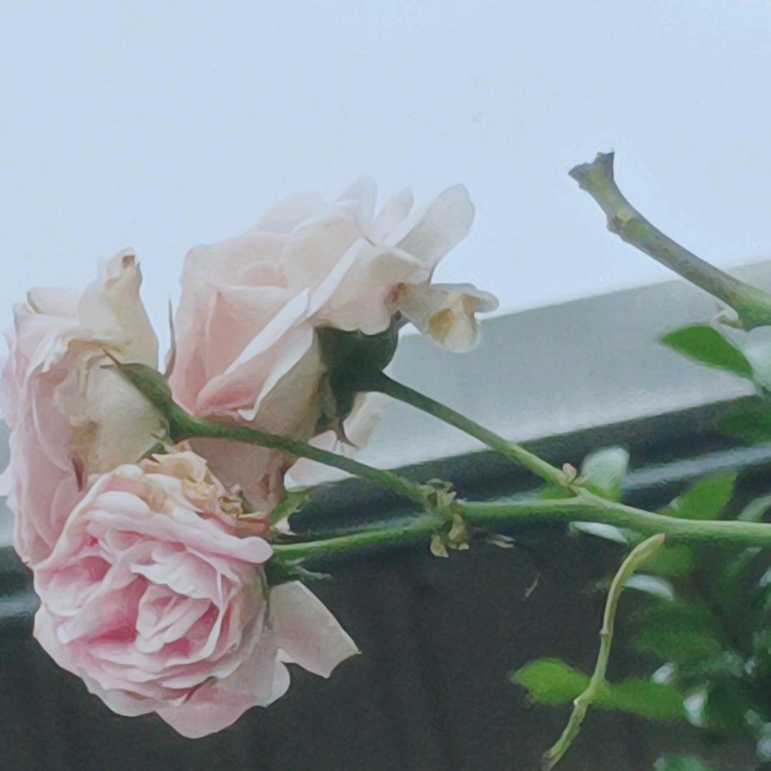 花果子