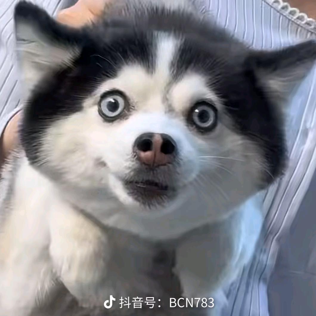 开心大男孩