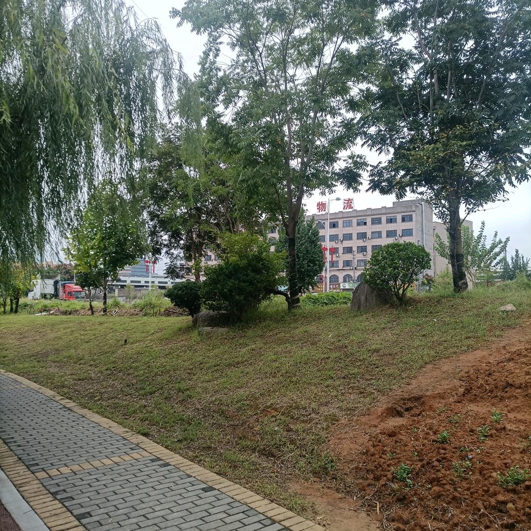 阿建