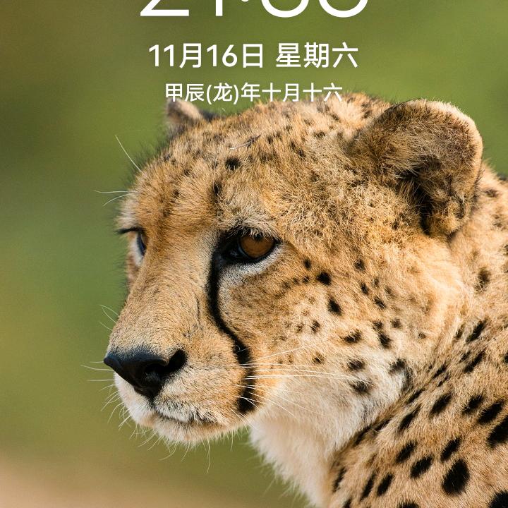 10、昀离堕、倾城泪∵头像