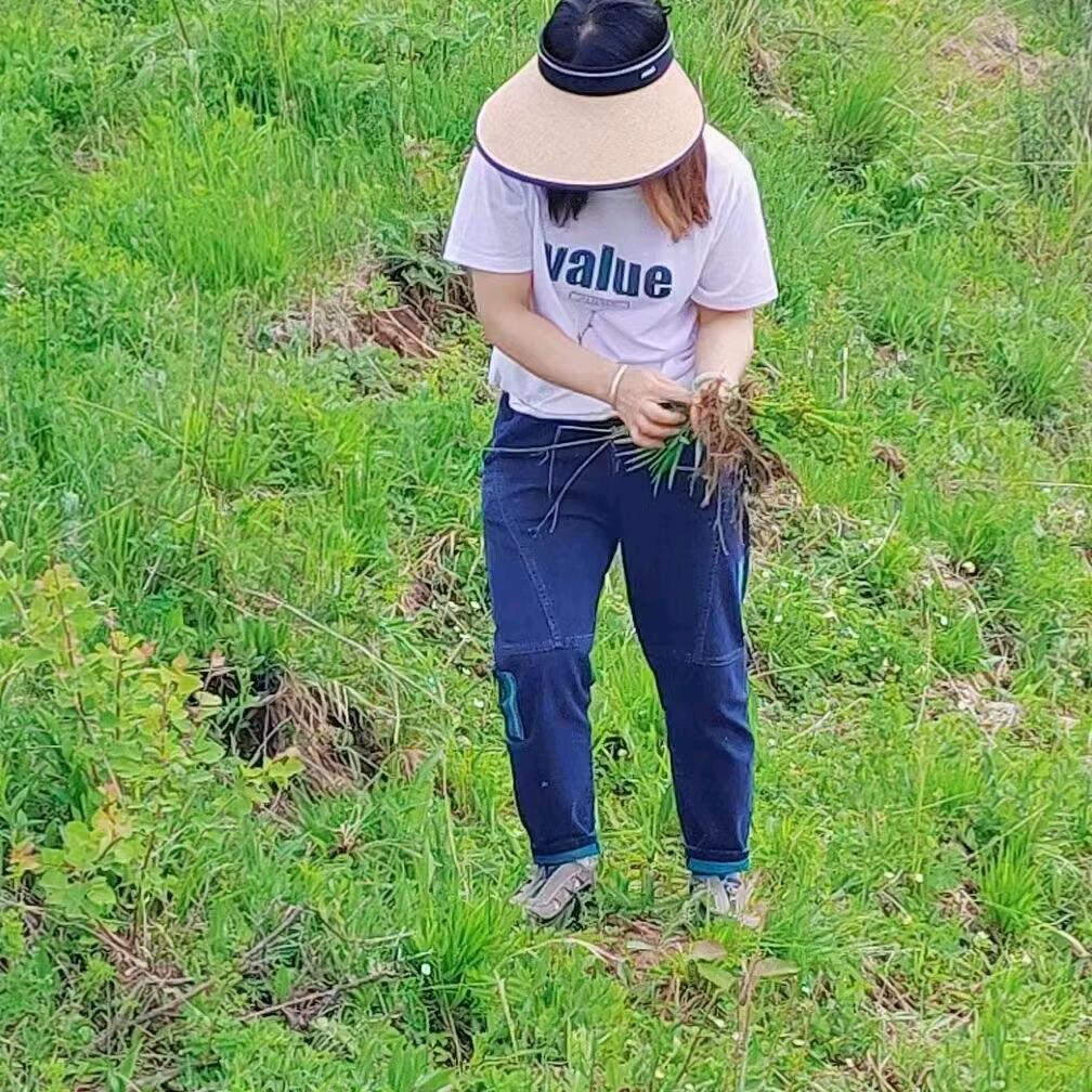 碎银解千愁