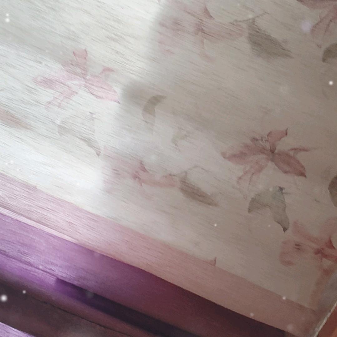 执念