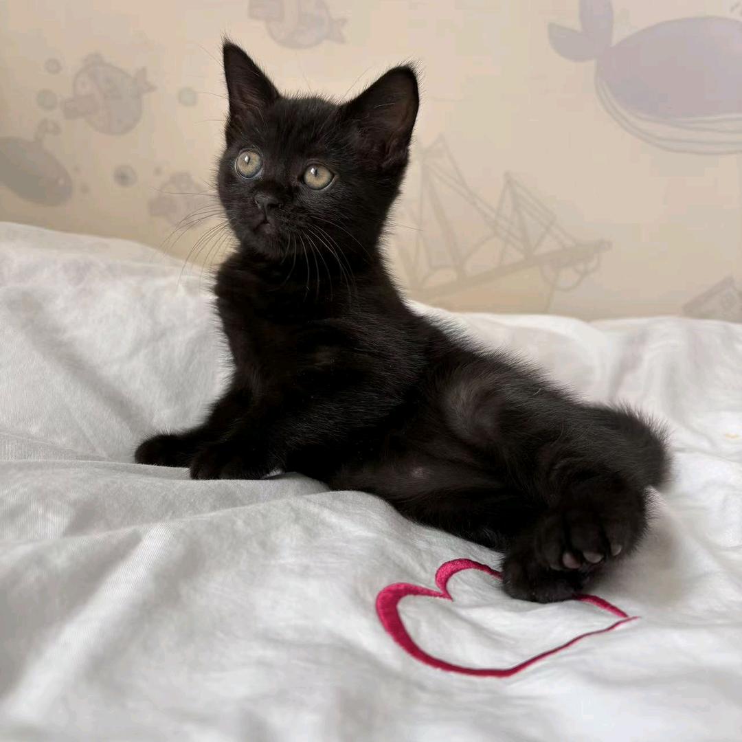 爱生活的程序猿