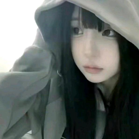 爱宝12月22回国