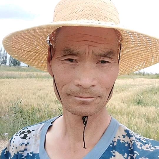 老来乐
