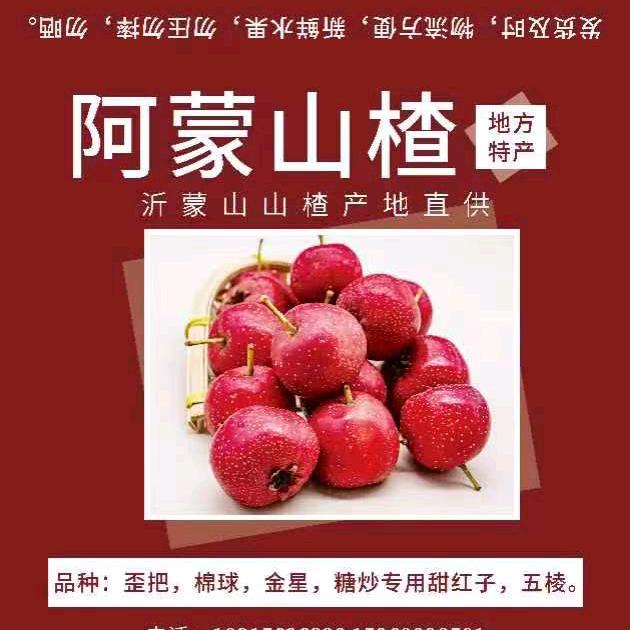 阿蒙山楂供应链