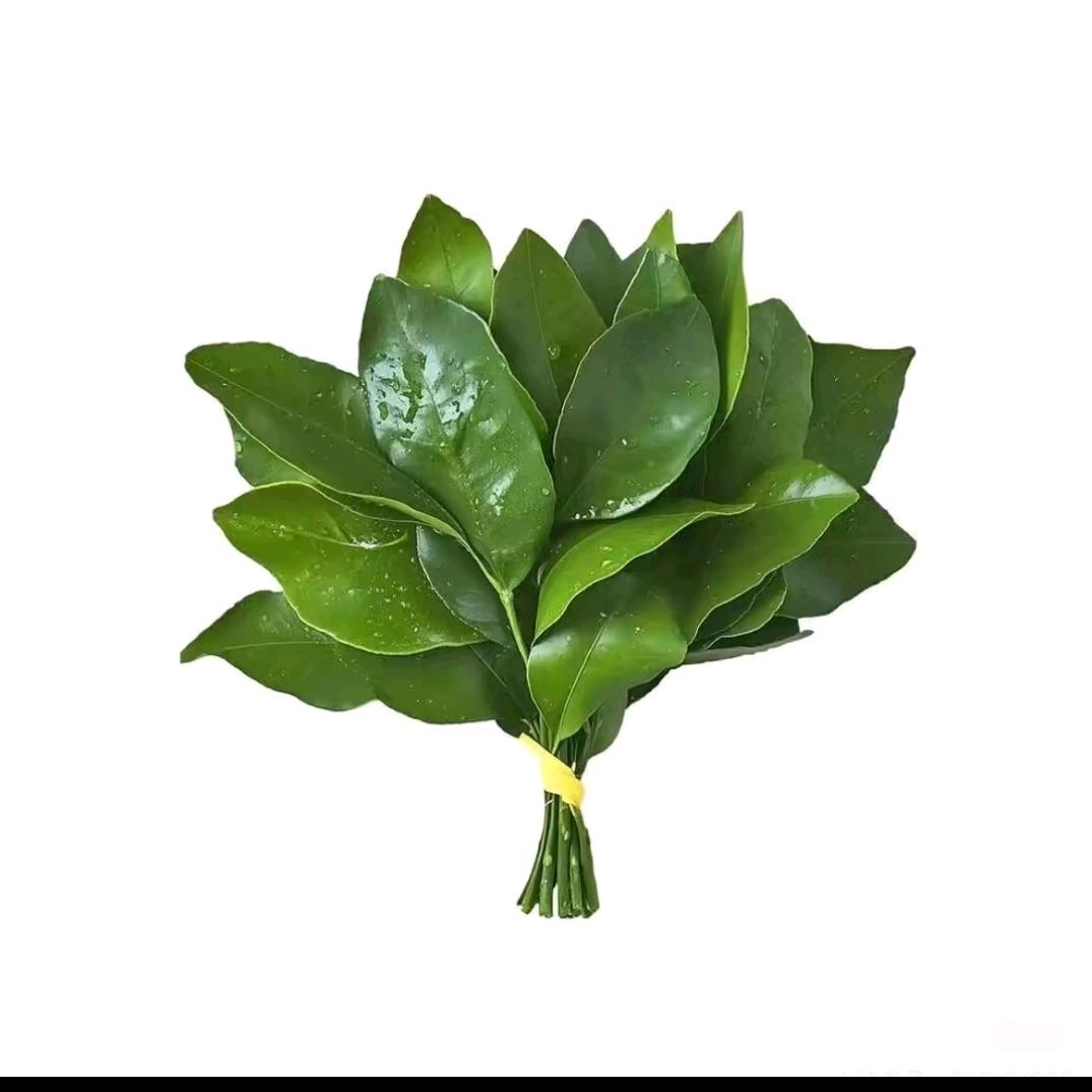 请叫我小卷卷