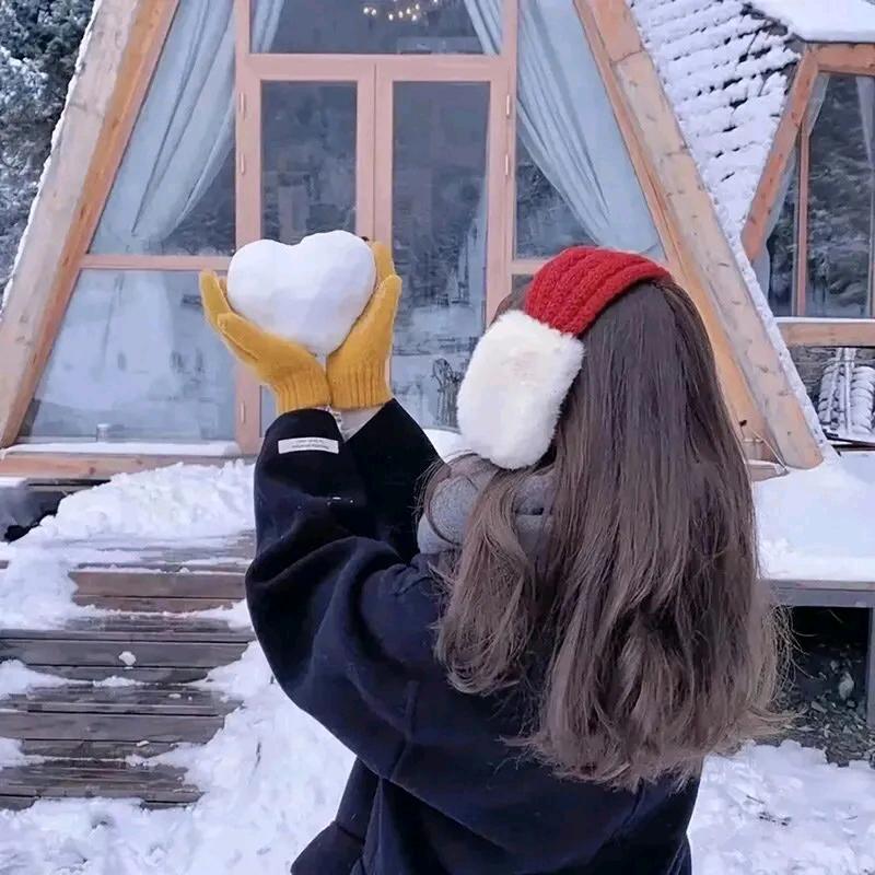 葡萄柚子树(🍰)