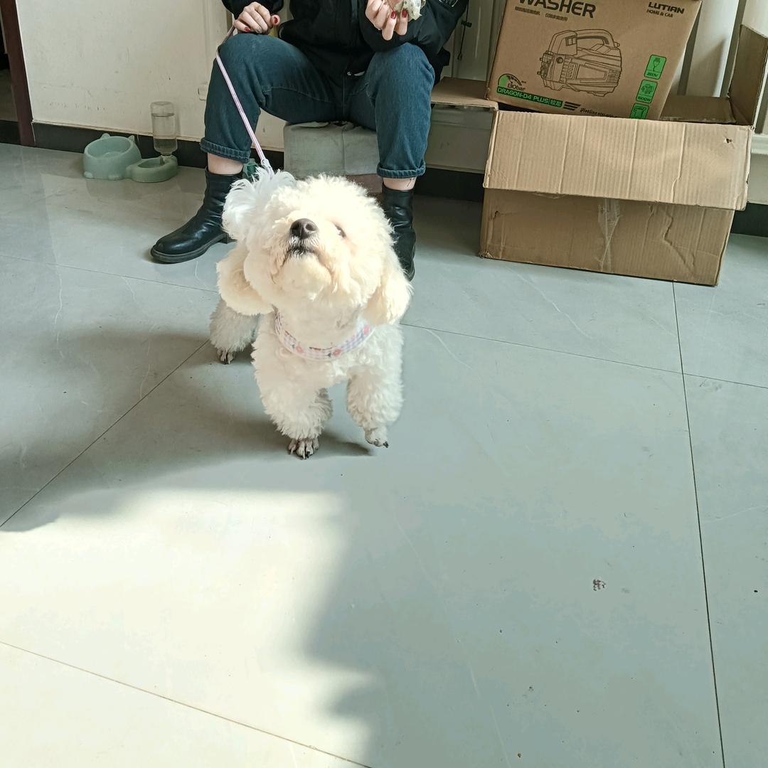 一生无悔
