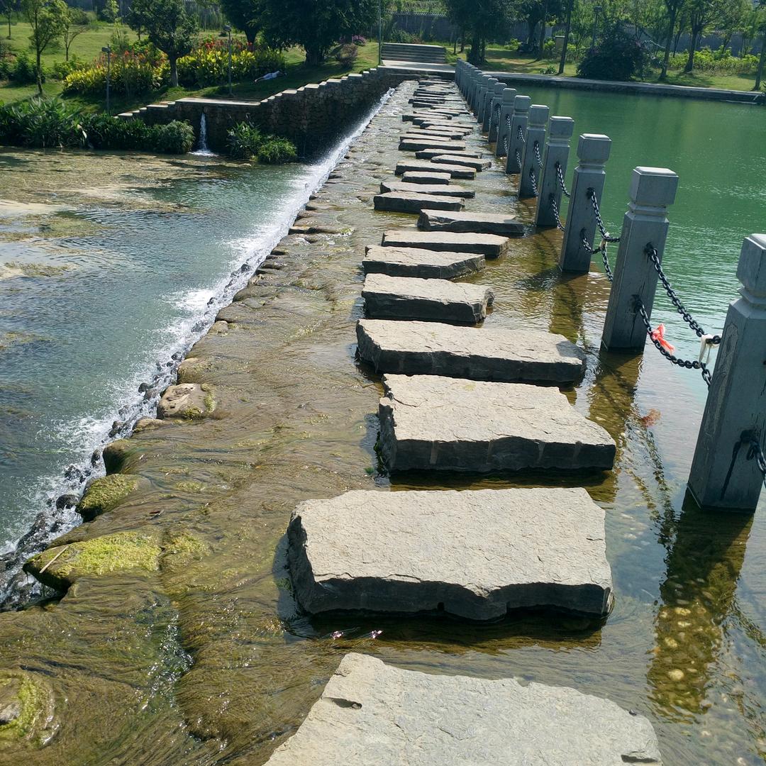 跳舞💃🏻的鱼