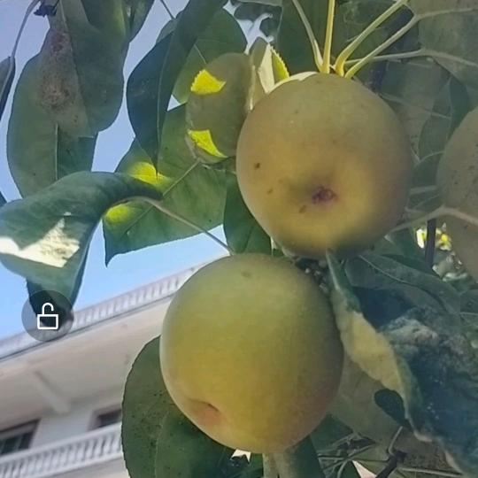 鹰ᵎ(•̀㉨•́)و ̑̑