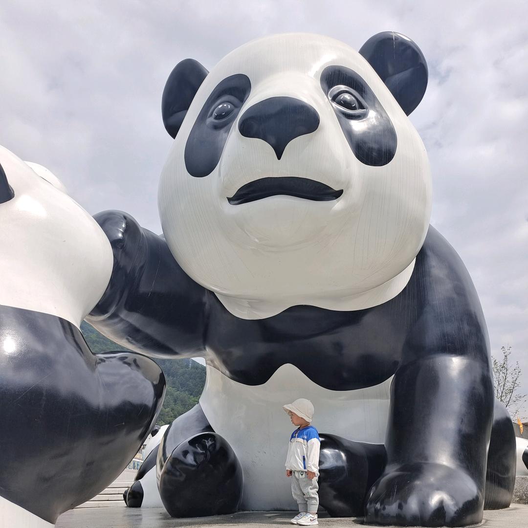 阳阳