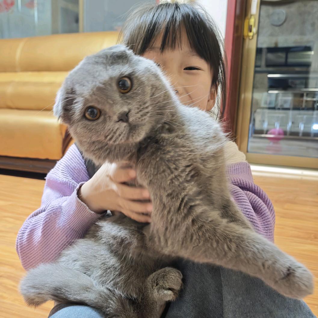 浅畅流年