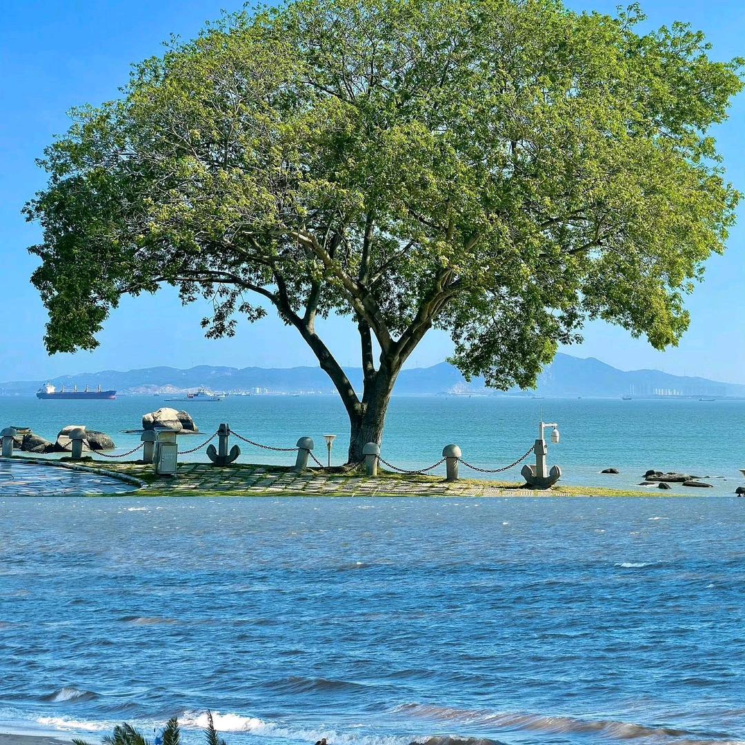 淼淼Adela