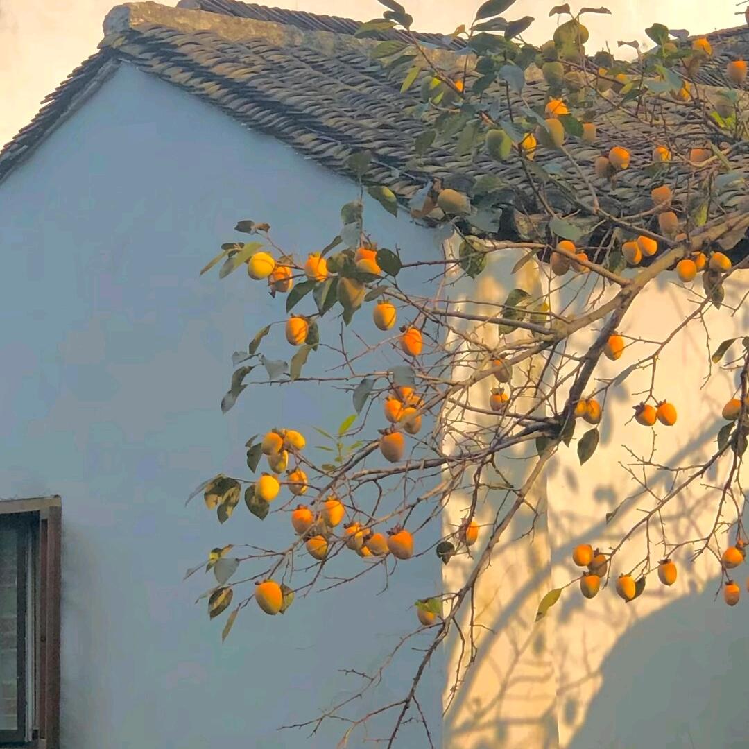 这个表情包～(￣▽￣～)~