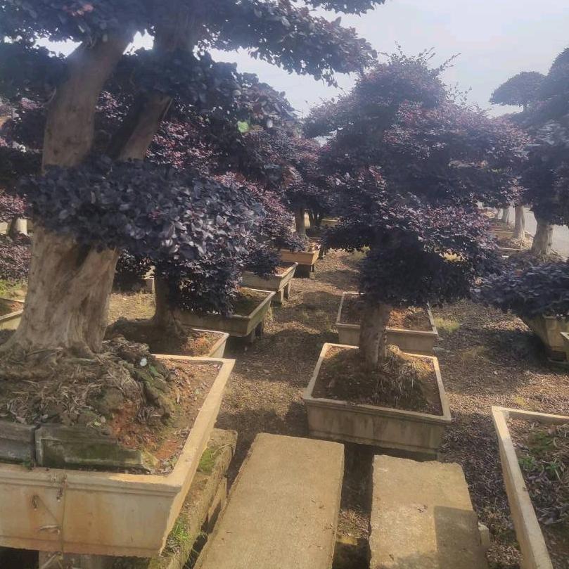 李收银
