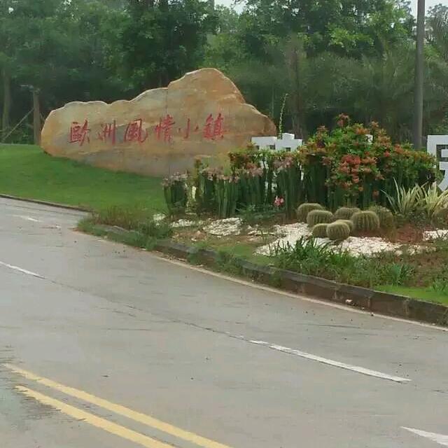 专业打井，土蜜