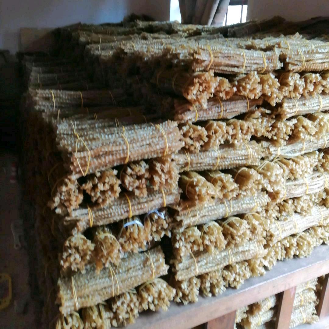 🌷光头 荞丝批发🌹