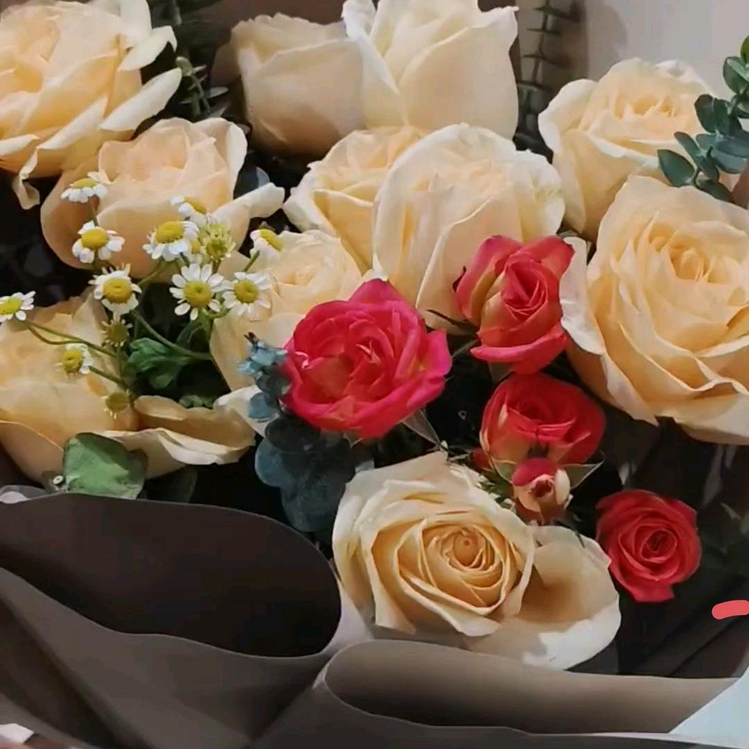 鸟语花香(拒合拍)