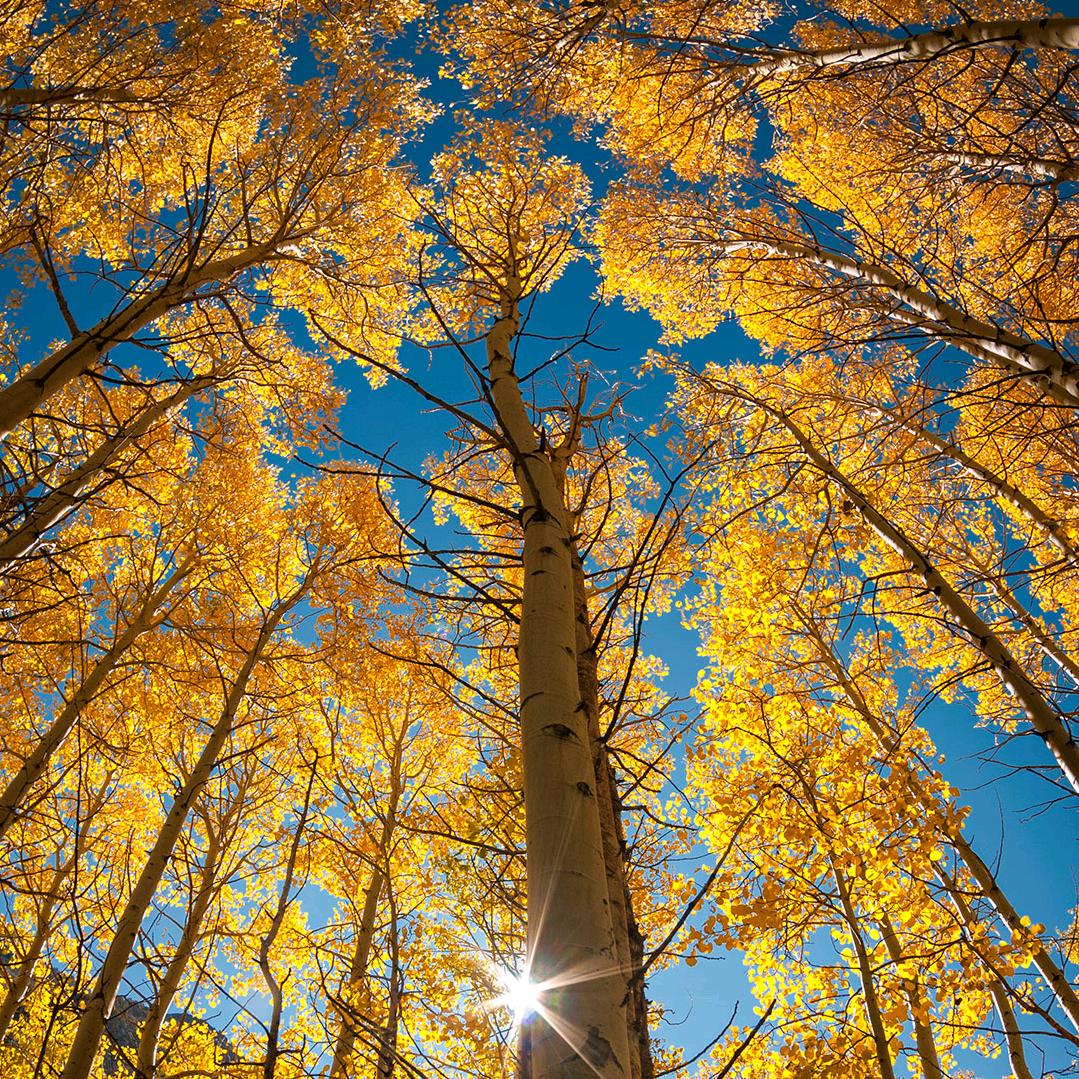 东北冷鲜港卖水果的小夫妻
