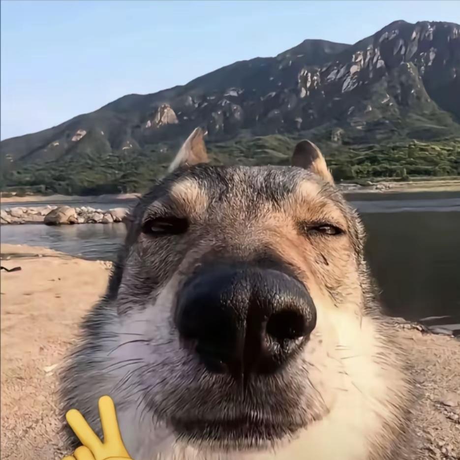 天狼星专用饭卡