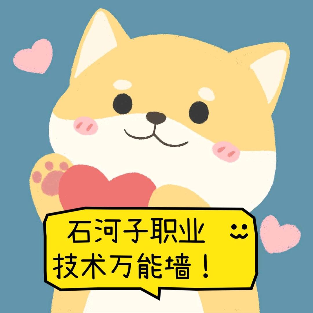 石河子职业万能学长