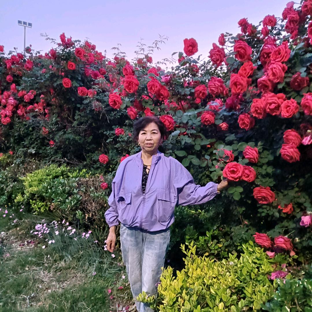 小杜呀