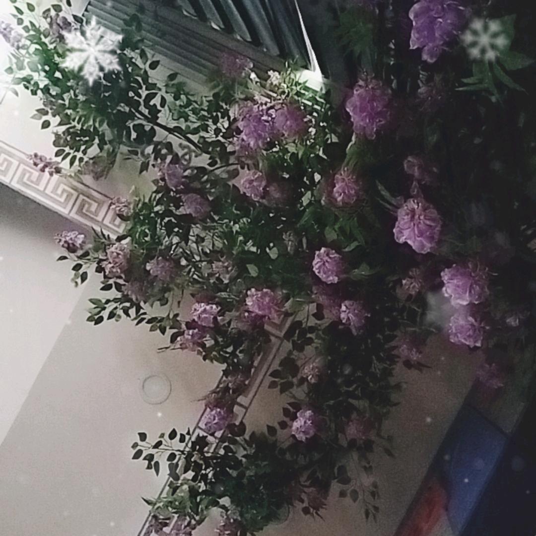 浩悦