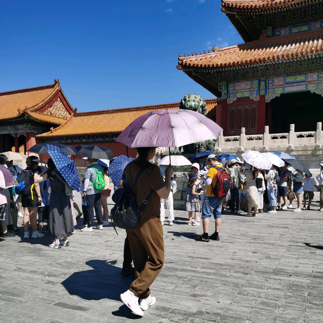 山海游哉