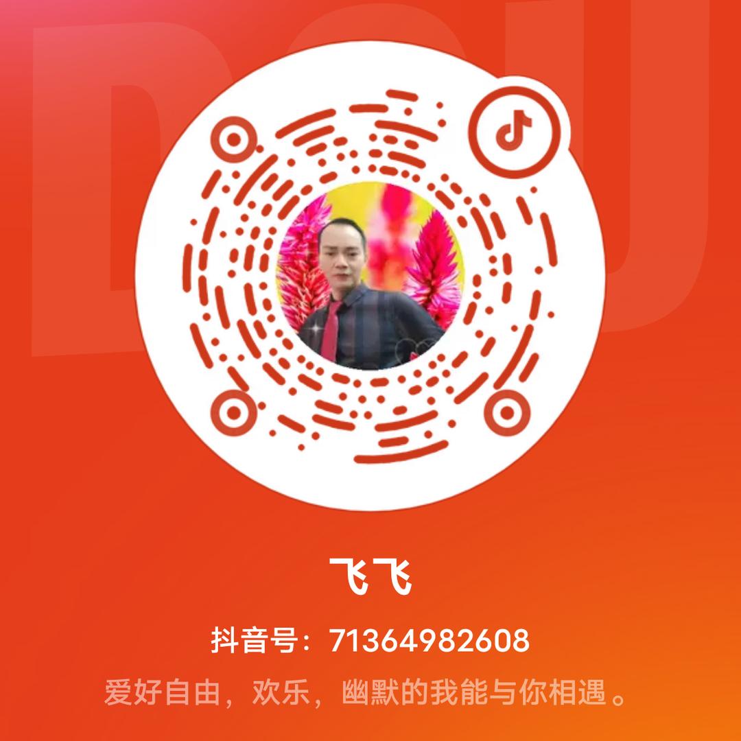 飞飞