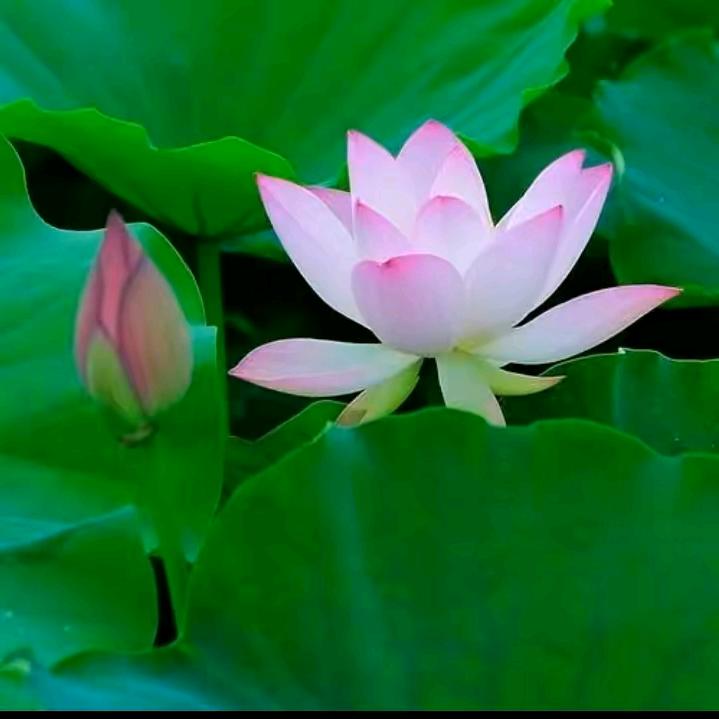 开心每一天。👏