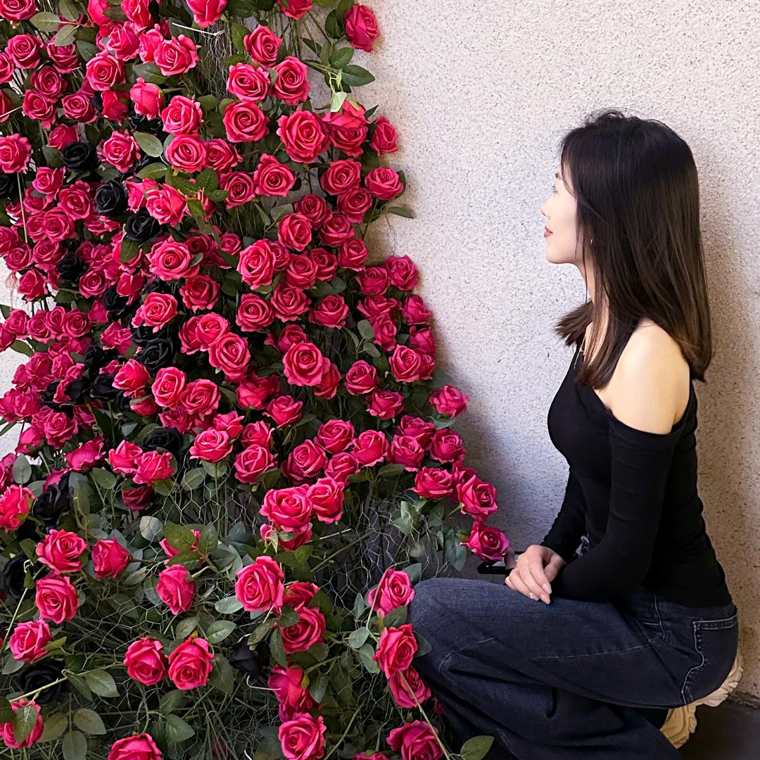 高小芝。