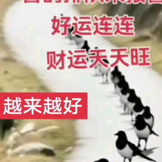 张张自喜🌹🌹长长有有