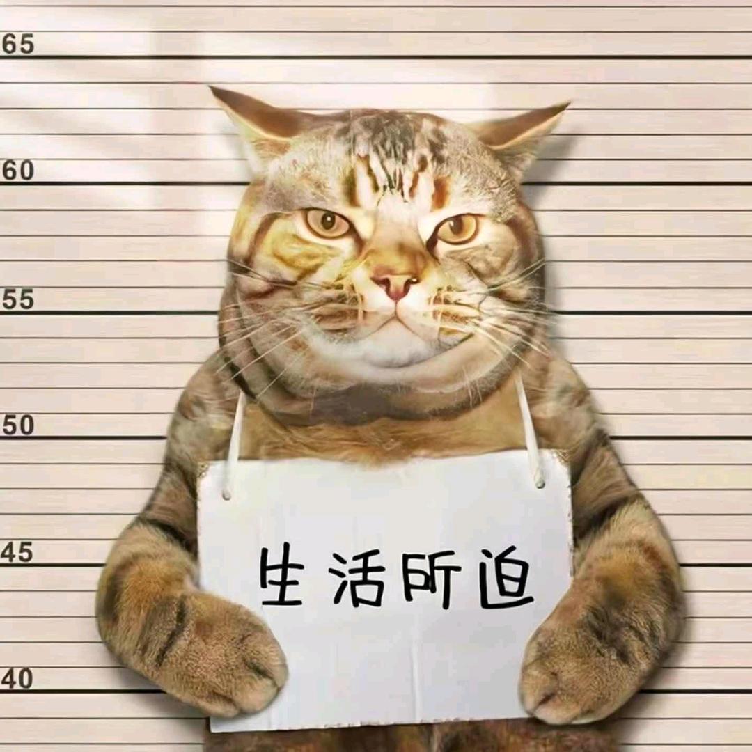天涯故事会