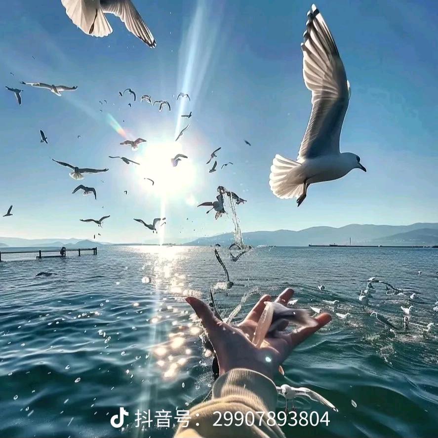 ꧁༺๑为明天๑༻꧂