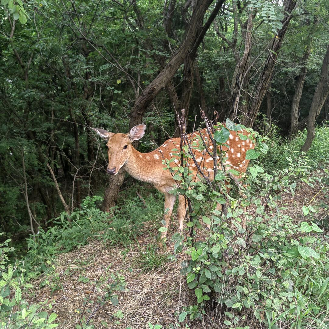 听涛观海（互）