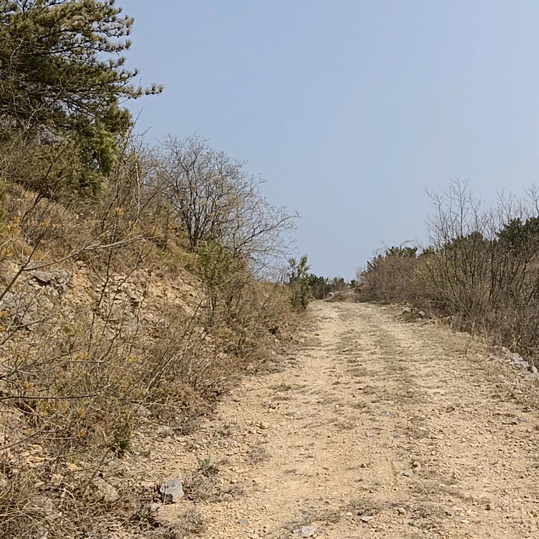 朴实无华的日常头像