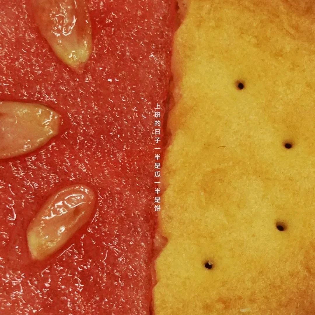 河北诚诺法律咨询