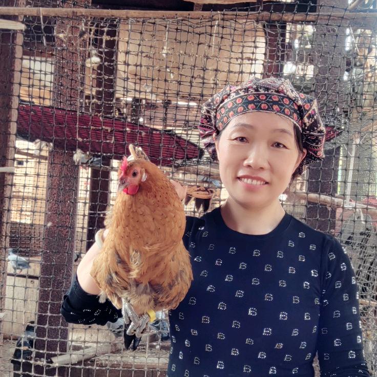 英子农场