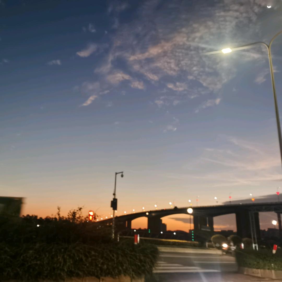 🐟一条鱼两条鱼🐠