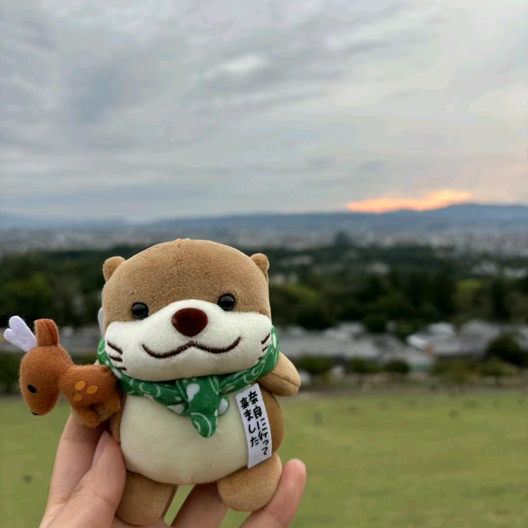江别鹤