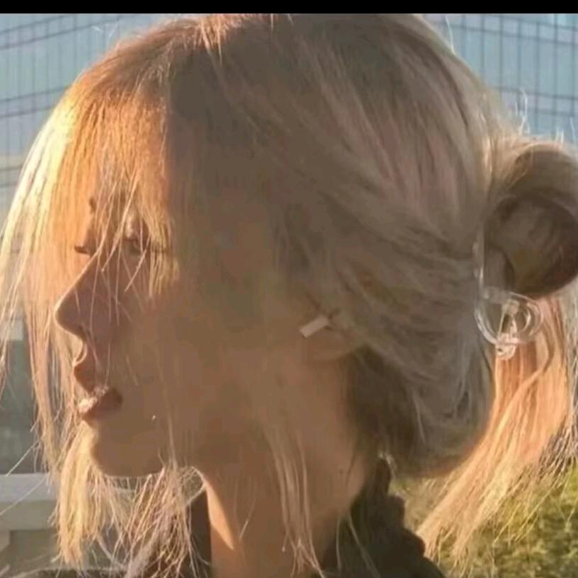 随风而肆