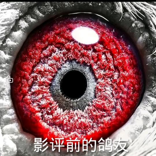 周昊昊2