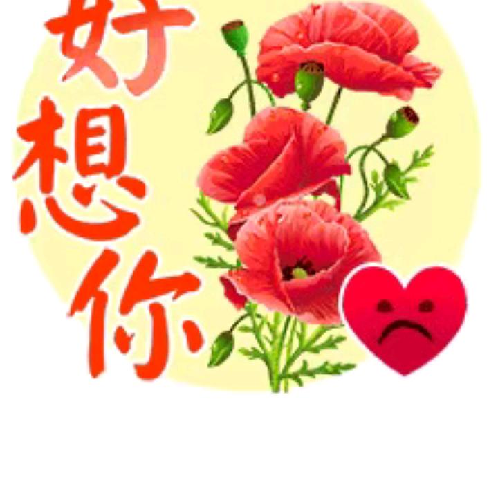 片片相思